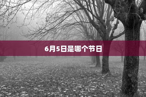 6月5日是哪个节日