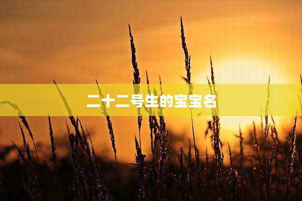 二十二号生的宝宝名