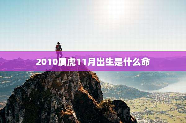 2010属虎11月出生是什么命