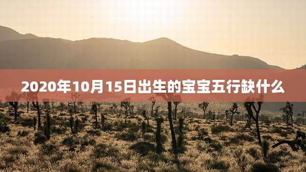 2020年10月15日出生的宝宝五行缺什么