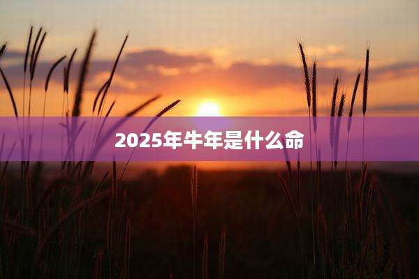 2025年牛年是什么命