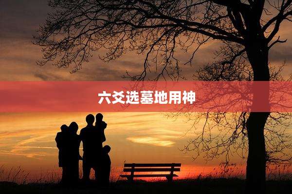 六爻选墓地用神