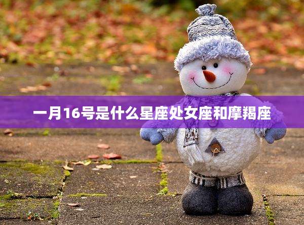 一月16号是什么星座处女座和摩羯座