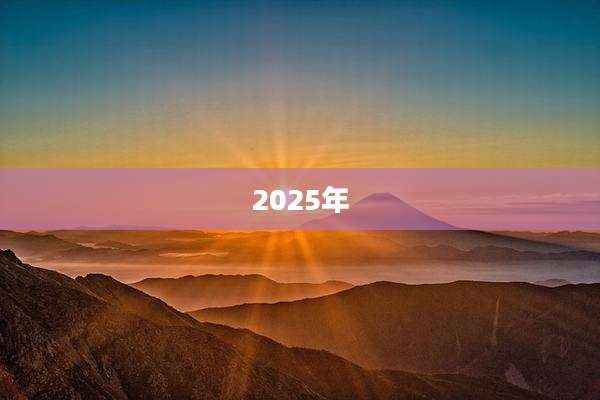 2025年