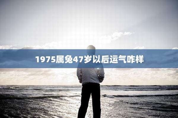 1975属兔47岁以后运气咋样