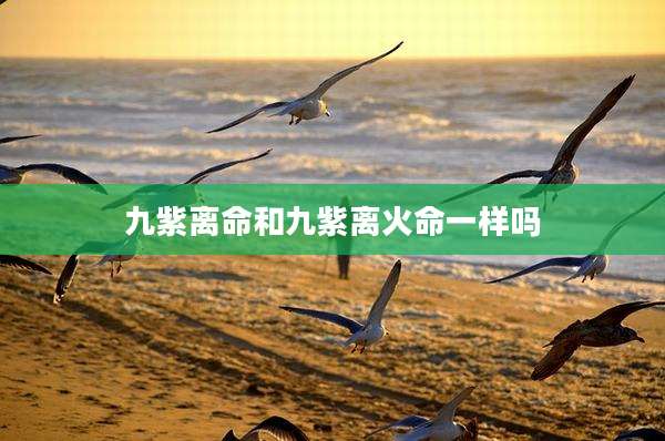 九紫离命和九紫离火命一样吗