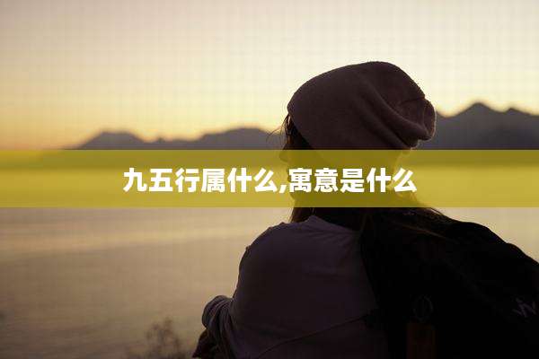 九五行属什么,寓意是什么