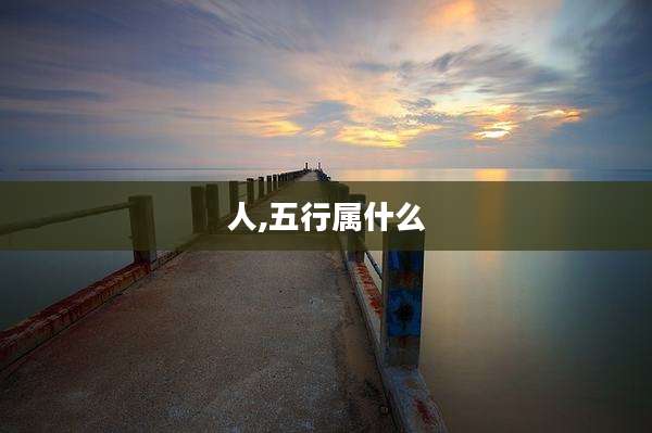 人,五行属什么