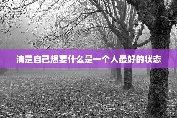 清楚自己想要什么是一个人最好的状态