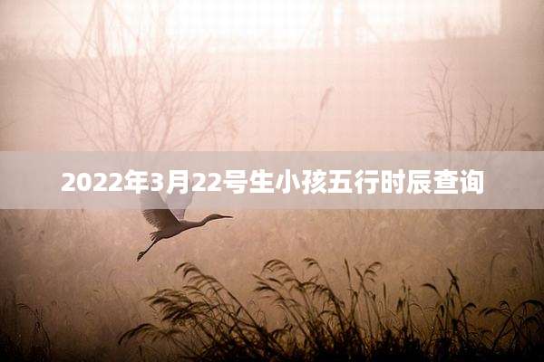 2022年3月22号生小孩五行时辰查询