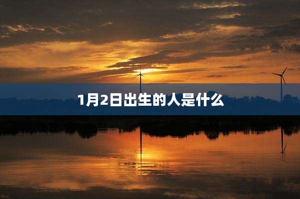 1月2日出生的人是什么