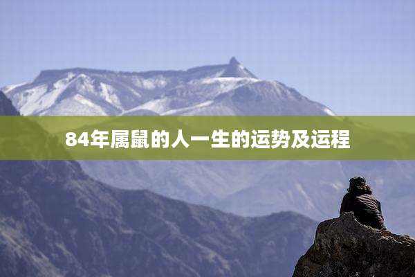 84年属鼠的人一生的运势及运程