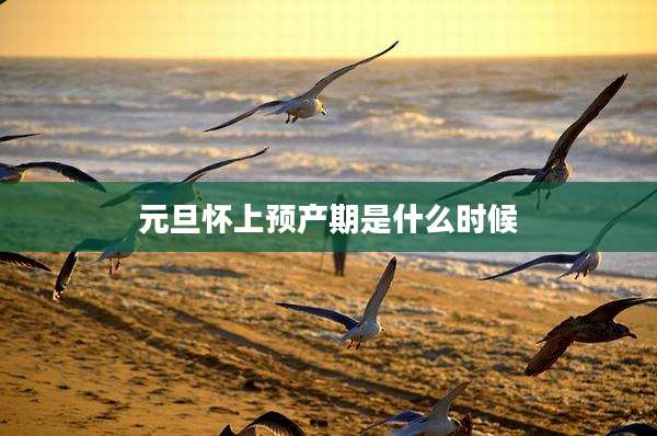 元旦怀上预产期是什么时候