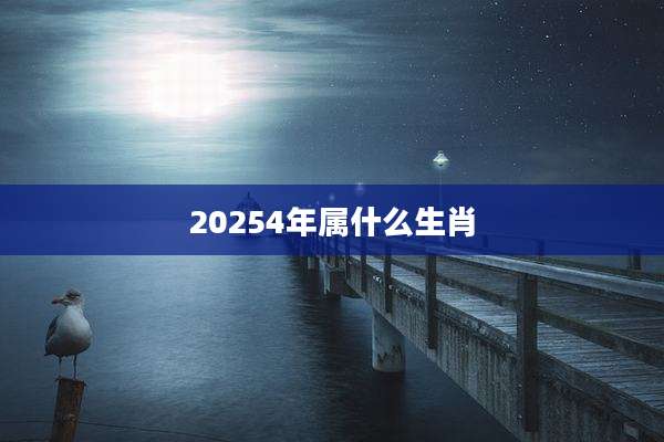 20254年属什么生肖