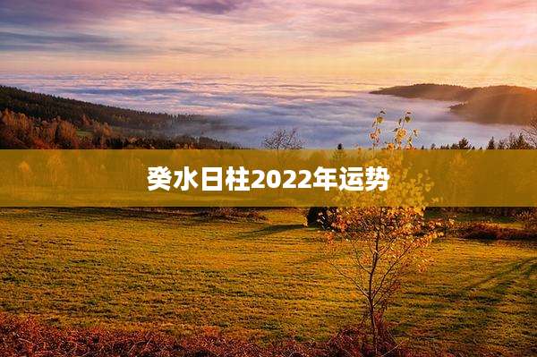 癸水日柱2022年运势