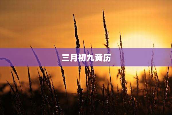 三月初九黄历