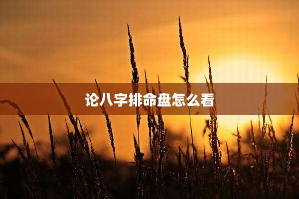 论八字排命盘怎么看