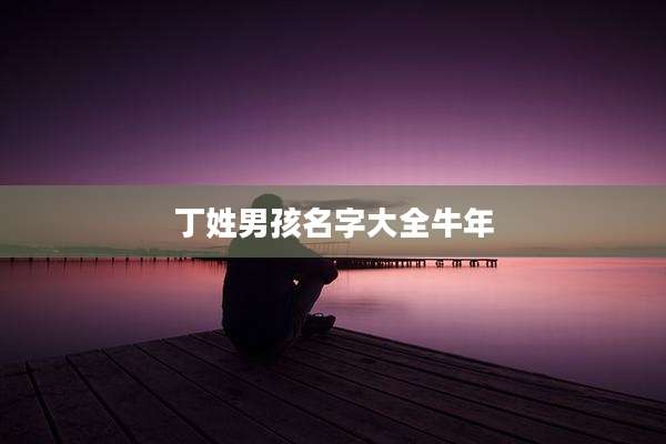 丁姓男孩名字大全牛年