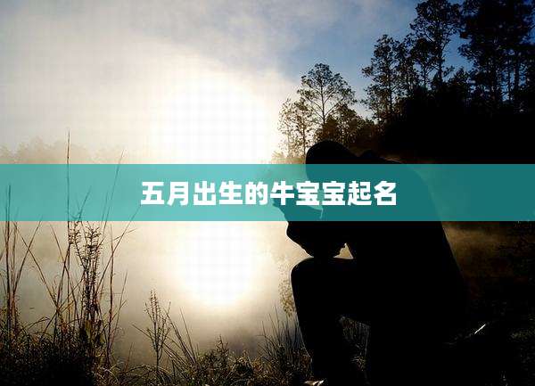 五月出生的牛宝宝起名