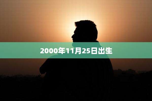 2000年11月25日出生