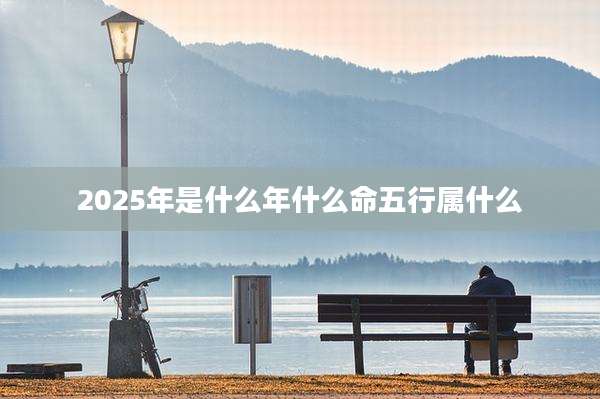 2025年是什么年什么命五行属什么