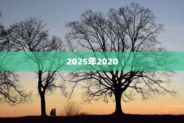 2025年2020