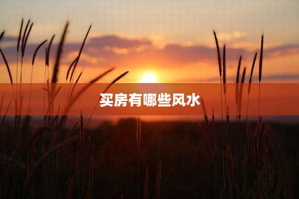 买房有哪些风水