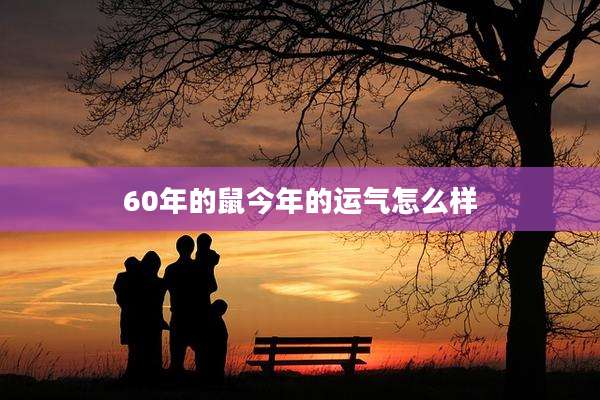 60年的鼠今年的运气怎么样