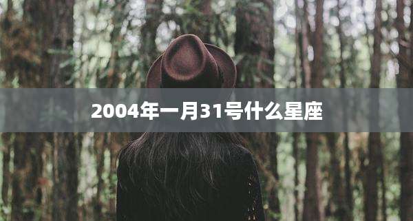 2004年一月31号什么星座