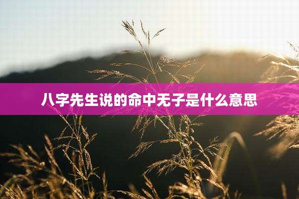 八字先生说的命中无子是什么意思