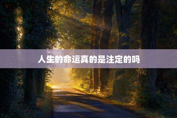 人生的命运真的是注定的吗