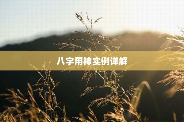 八字用神实例详解