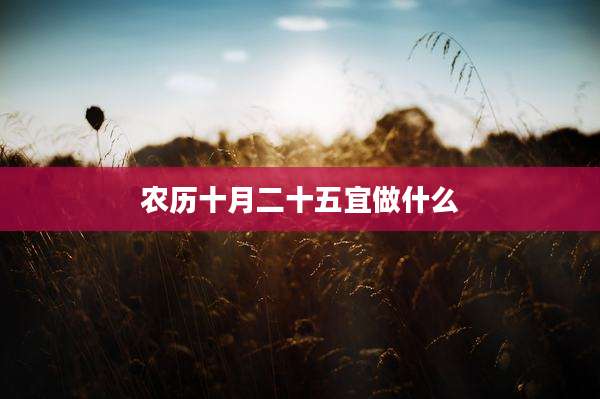 农历十月二十五宜做什么