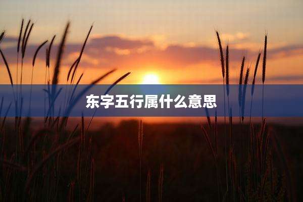 东字五行属什么意思