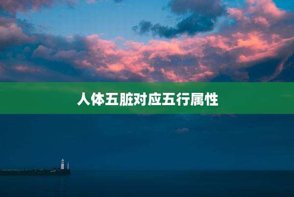 人体五脏对应五行属性