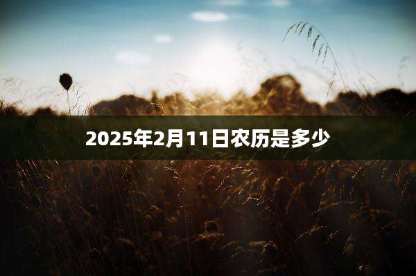 2025年2月11日农历是多少
