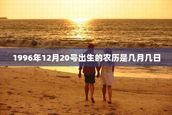1996年12月20号出生的农历是几月几日