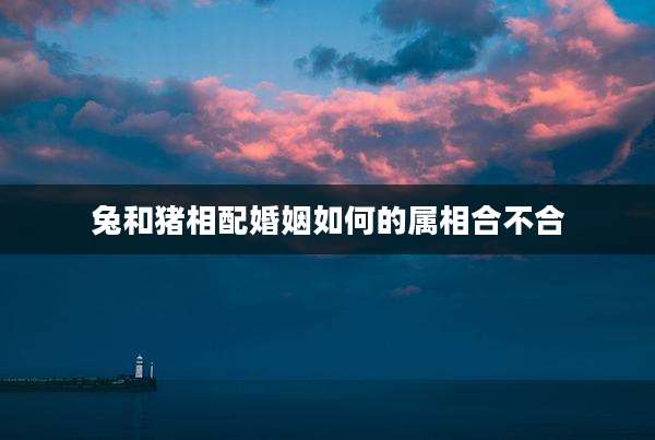兔和猪相配婚姻如何的属相合不合