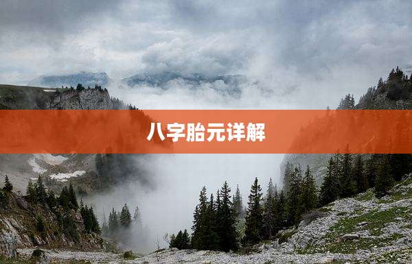 八字胎元详解