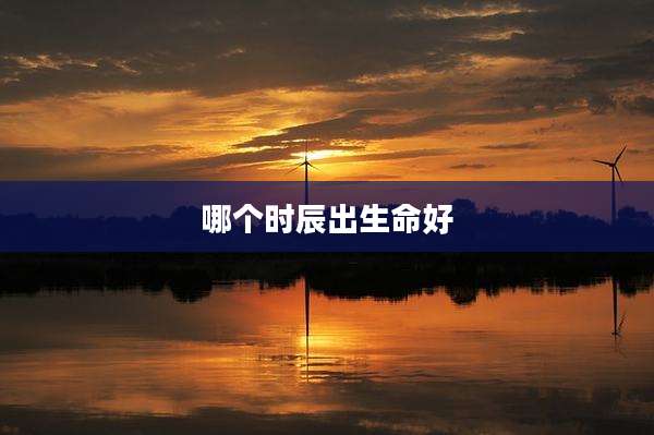 哪个时辰出生命好