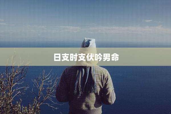 日支时支伏吟男命