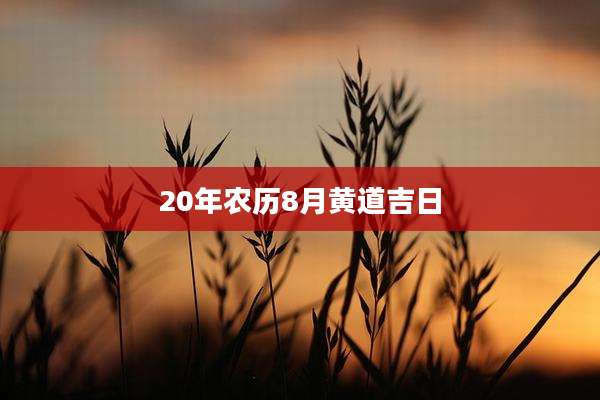20年农历8月黄道吉日