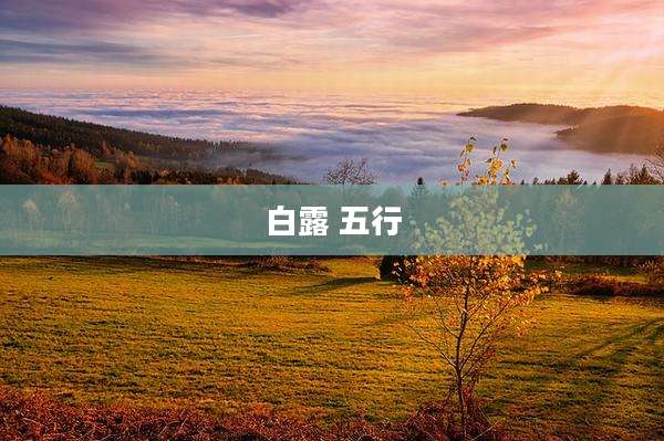 白露 五行