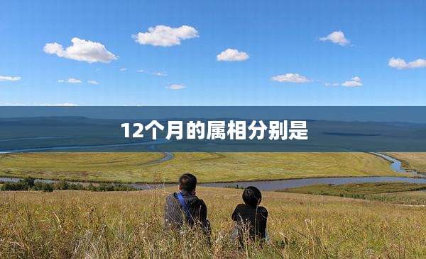 12个月的属相分别是