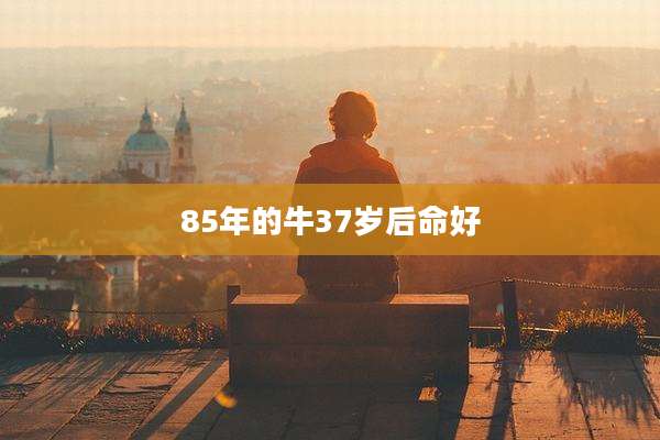 85年的牛37岁后命好