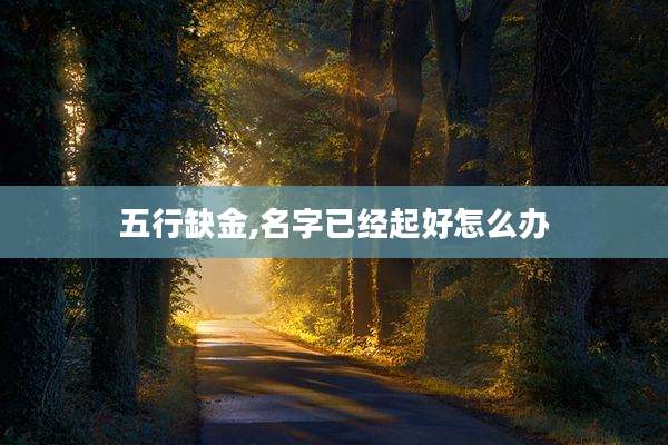 五行缺金,名字已经起好怎么办