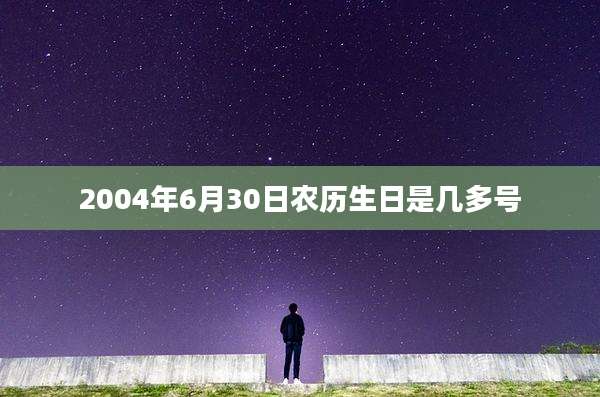 2004年6月30日农历生日是几多号