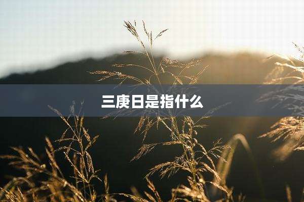 三庚日是指什么