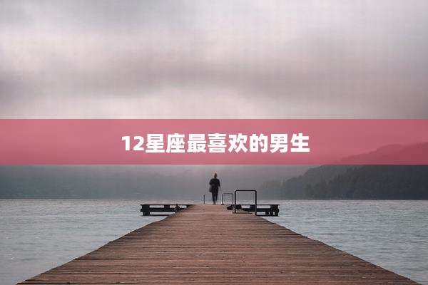 12星座最喜欢的男生