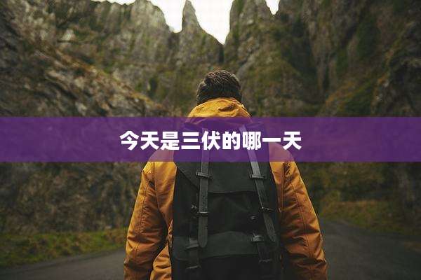 今天是三伏的哪一天
